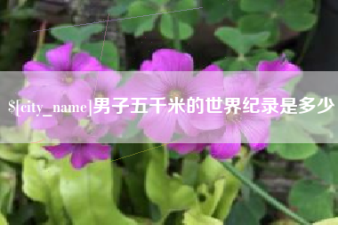 宁德男子五千米的世界纪录是多少