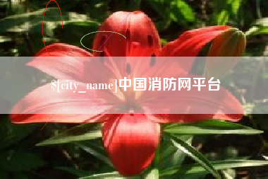 宁德中国消防网平台