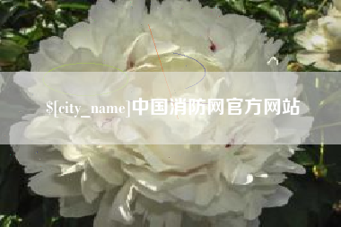 宁德中国消防网官方网站