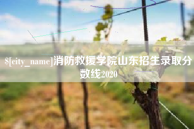 宁德消防救援学院山东招生录取分数线2020