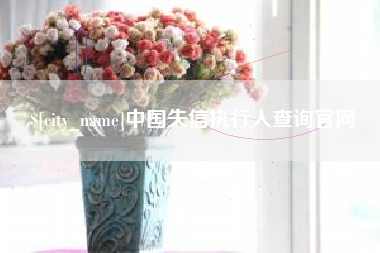 宁德中国失信执行人查询官网