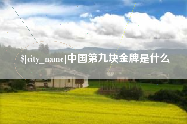 宁德中国第九块金牌是什么