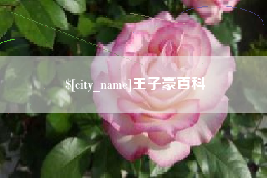 宁德王子豪百科