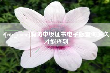 宁德消防中级证书电子版查询多久才能查到