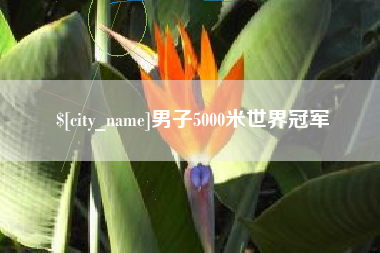 宁德男子5000米世界冠军