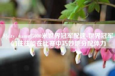 宁德5000米世界冠军配速-世界冠军们往往能在比赛中巧妙地分配体力