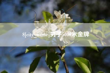 宁德男子5000米金牌