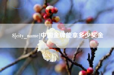 宁德中国金牌能拿多少奖金