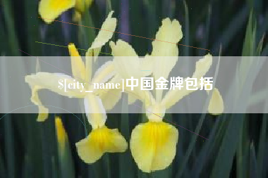 宁德中国金牌包括
