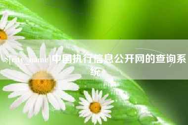宁德中国执行信息公开网的查询系统