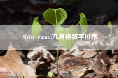 宁德九宫格数字排序