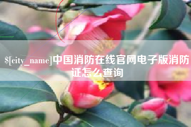 宁德中国消防在线官网电子版消防证怎么查询
