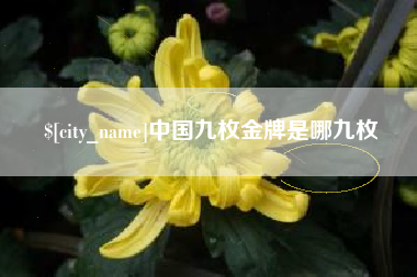 宁德中国九枚金牌是哪九枚