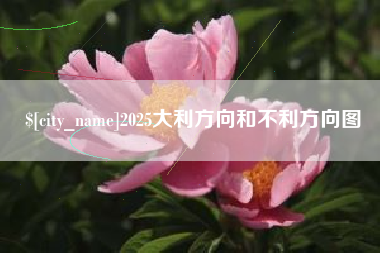 宁德2025大利方向和不利方向图