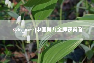 宁德中国第九金牌获得者