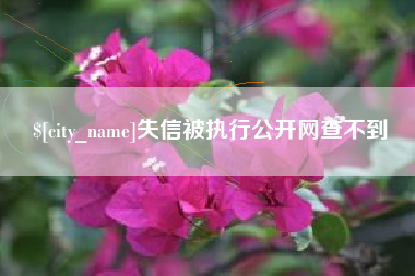 宁德失信被执行公开网查不到
