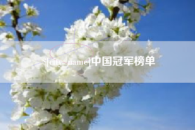 宁德中国冠军榜单