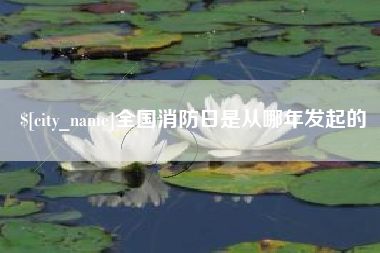 宁德全国消防日是从哪年发起的