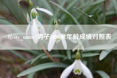 宁德男子5000米年龄成绩对照表
