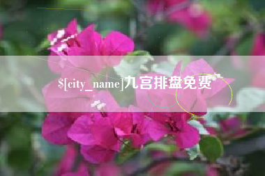 宁德九宫排盘免费