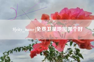 宁德免费卫星地图哪个好