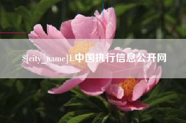 宁德1.中国执行信息公开网