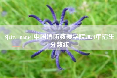 宁德中国消防救援学院2024年招生分数线