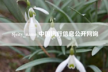 宁德中国执行信息公开网询
