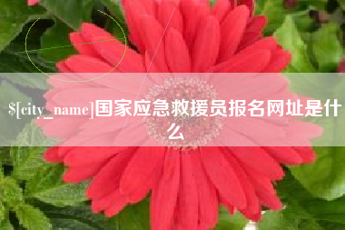 宁德国家应急救援员报名网址是什么