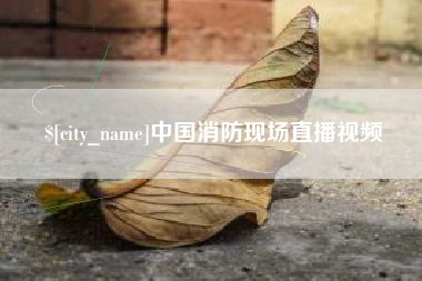 宁德中国消防现场直播视频
