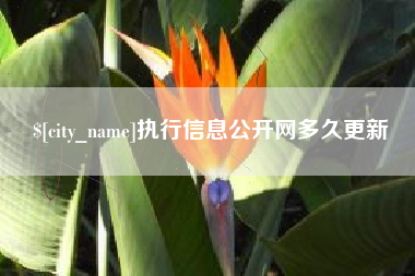 宁德执行信息公开网多久更新