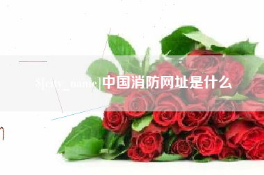 宁德中国消防网址是什么