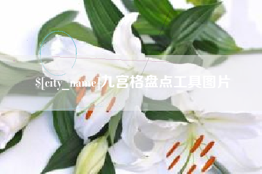 宁德九宫格盘点工具图片
