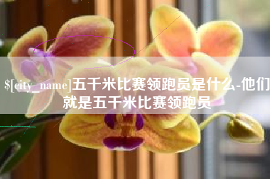 宁德五千米比赛领跑员是什么-他们就是五千米比赛领跑员