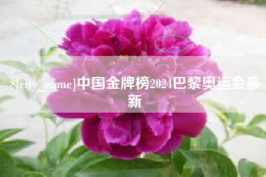 宁德中国金牌榜2024巴黎奥运会最新