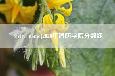 宁德2020年消防学院分数线