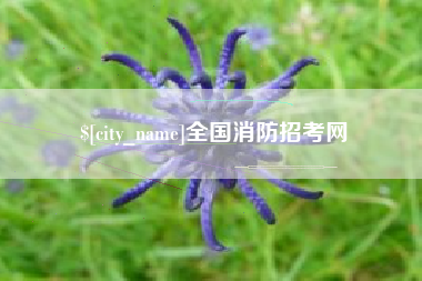 宁德全国消防招考网