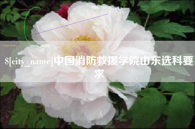 宁德中国消防救援学院山东选科要求