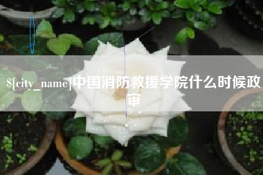 宁德中国消防救援学院什么时候政审