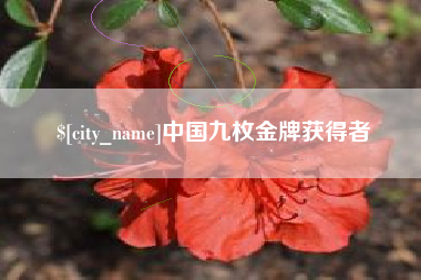 宁德中国九枚金牌获得者