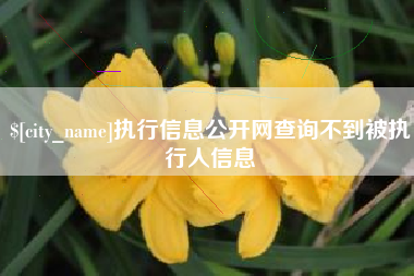 宁德执行信息公开网查询不到被执行人信息