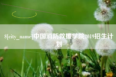 宁德中国消防救援学院2019招生计划