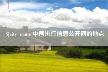 宁德中国执行信息公开网的地点