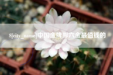 宁德中国金牌哪六金最值钱的