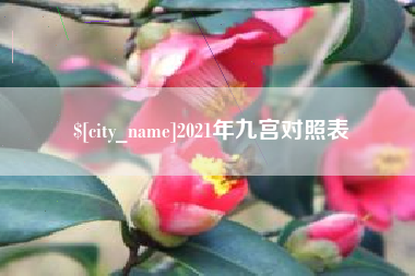 宁德2021年九宫对照表