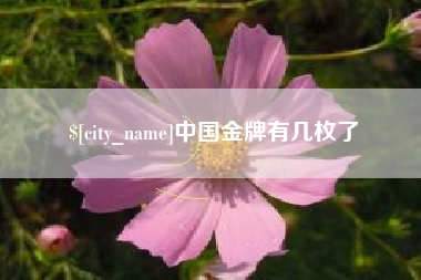宁德中国金牌有几枚了