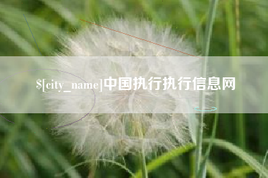 宁德中国执行执行信息网