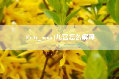 宁德九宫怎么解释