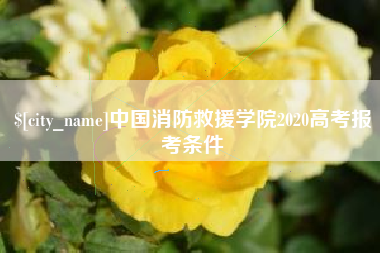 宁德中国消防救援学院2020高考报考条件