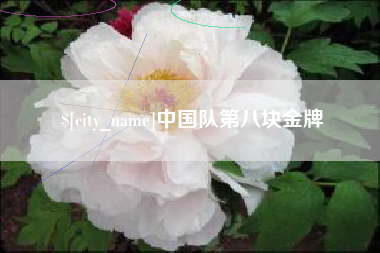 宁德中国队第八块金牌